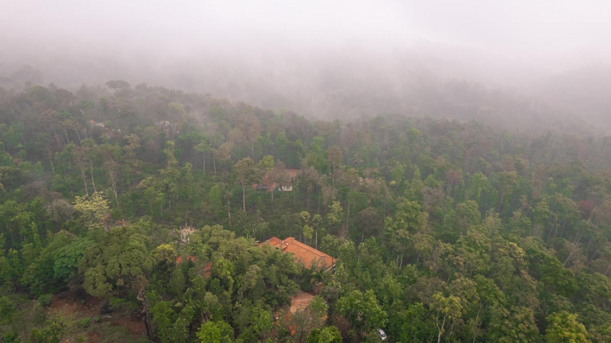 Kingmaker'S Plantation With River Stream Мадикери Екстериор снимка