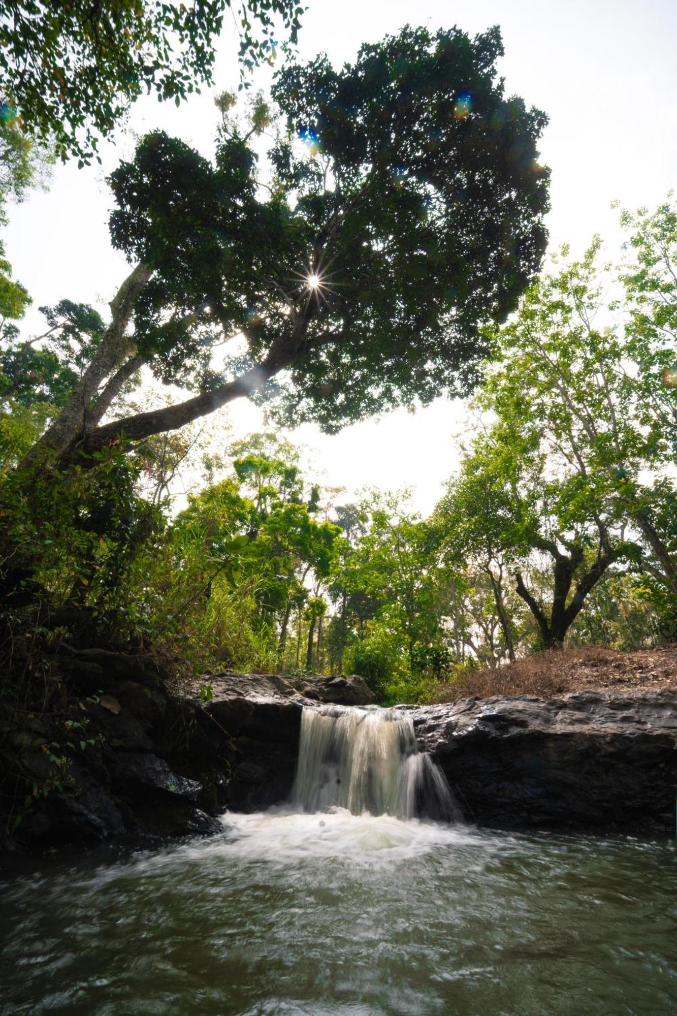 Kingmaker'S Plantation With River Stream Мадикери Екстериор снимка