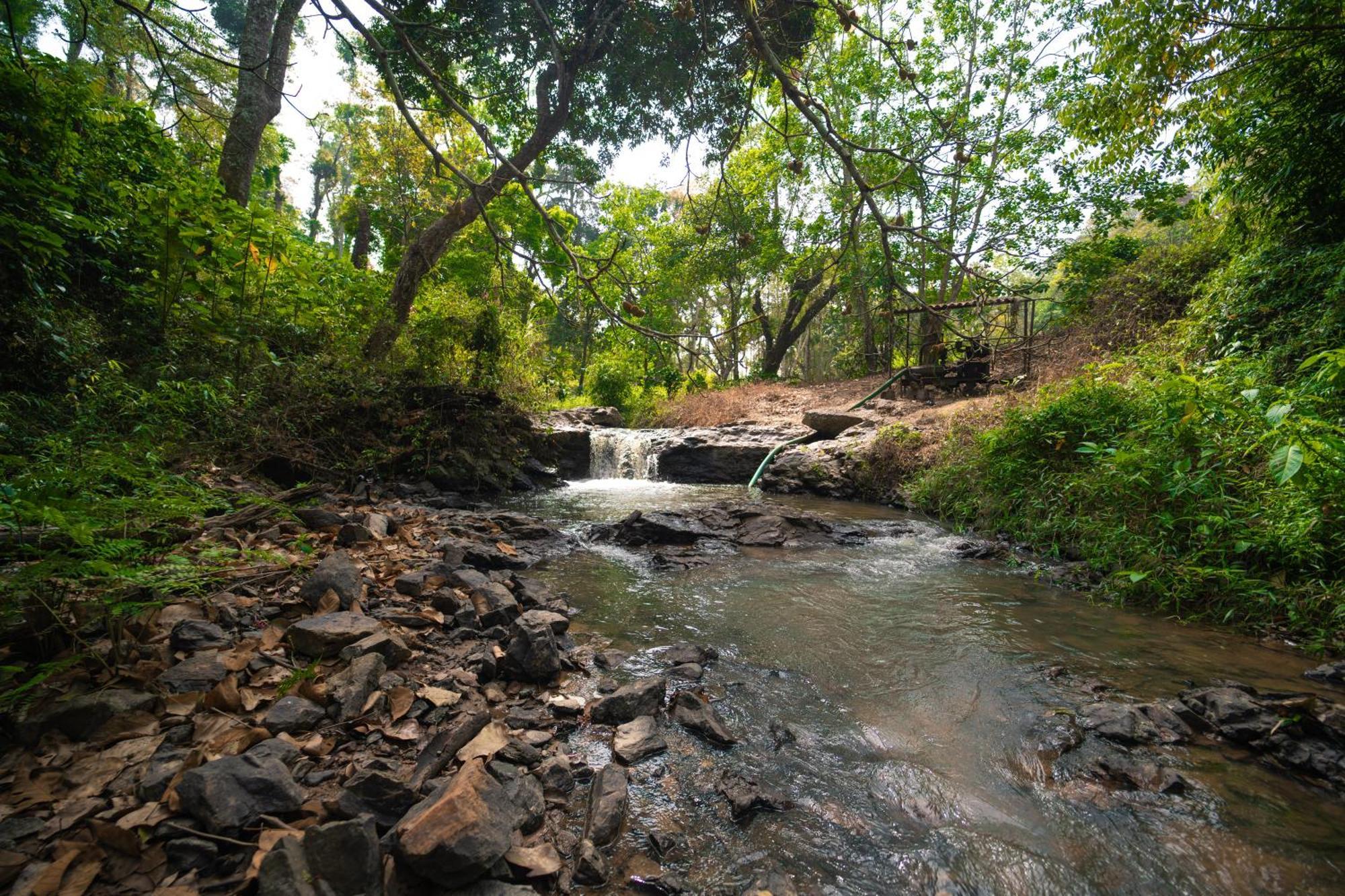 Kingmaker'S Plantation With River Stream Мадикери Екстериор снимка